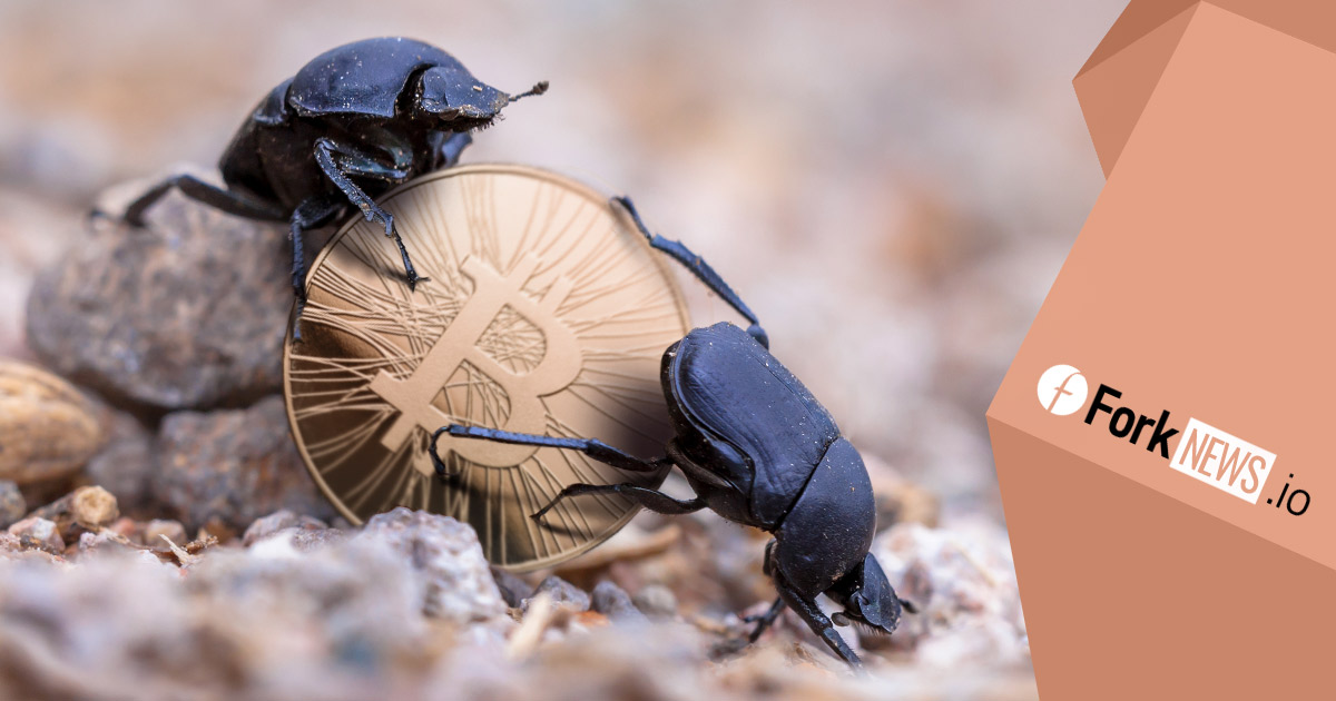 Microsoft объявил о покупке сервиса для разработчиков GitHub