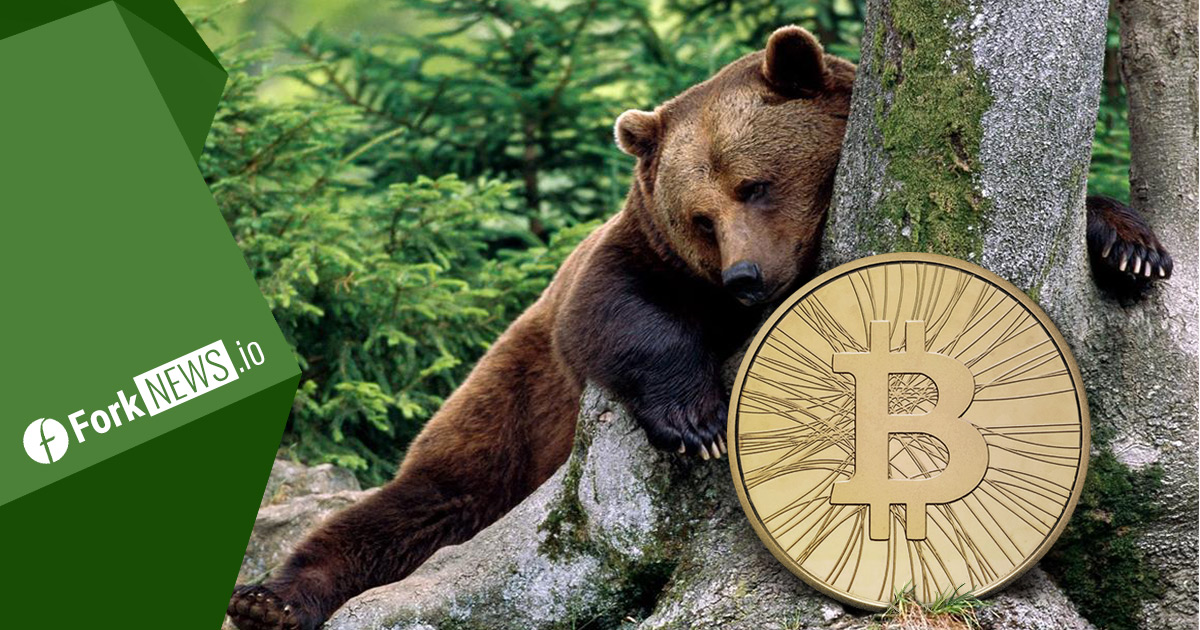 Медвежий цикл и возможные перспективы Медвежий цикл и возможные перспективы