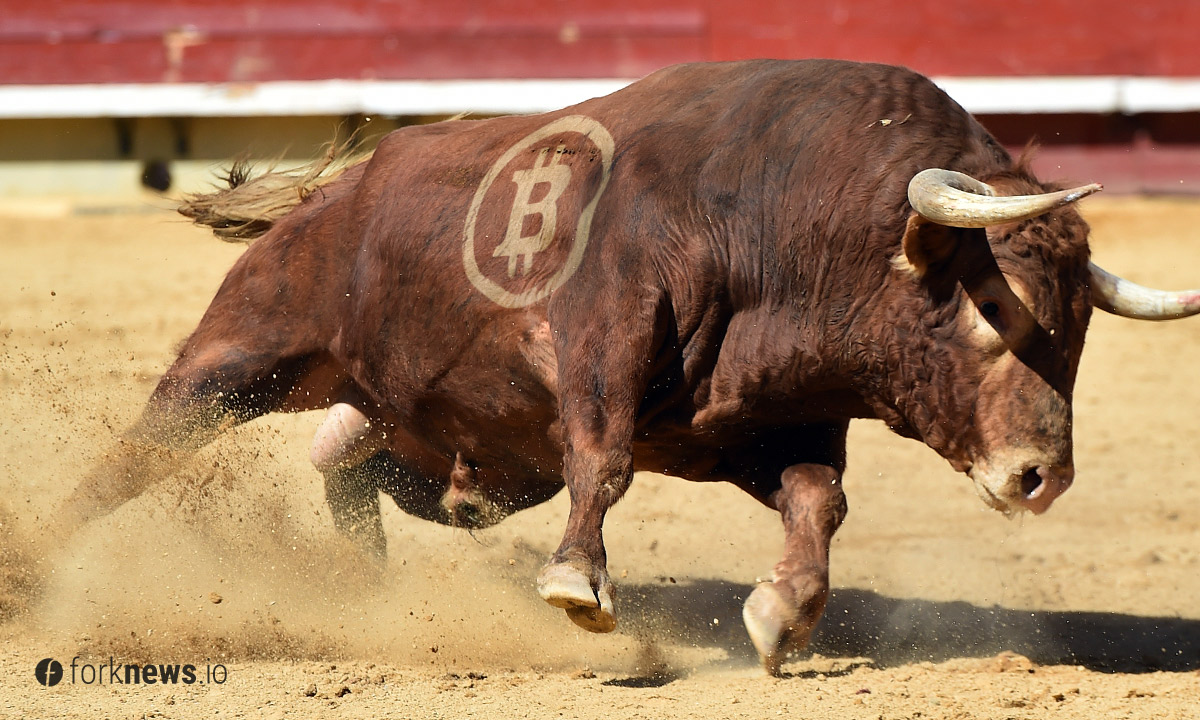 Генеральный директор компании Genesis Capital делает ставку на 10 000 Генеральный директор компании Genesis Capital делает ставку на 10 000