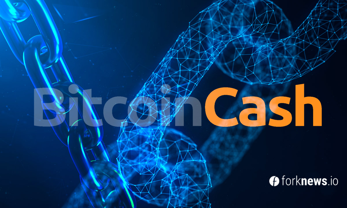 Bitcoin Cash разделился на две цепи, BCHN доминирует Bitcoin Cash разделился на две цепи, BCHN доминирует