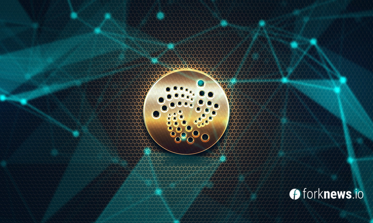 IOTA планирует запустить обновление Chrysalis в марте 